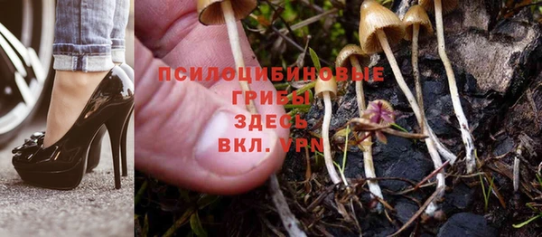 ALPHA-PVP Вяземский