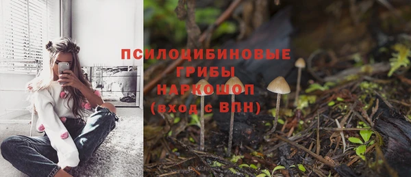 ALPHA-PVP Вяземский