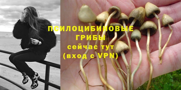 прущая мука Горняк