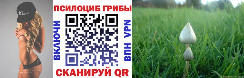Псилоцибиновые грибы мицелий  Игарка 